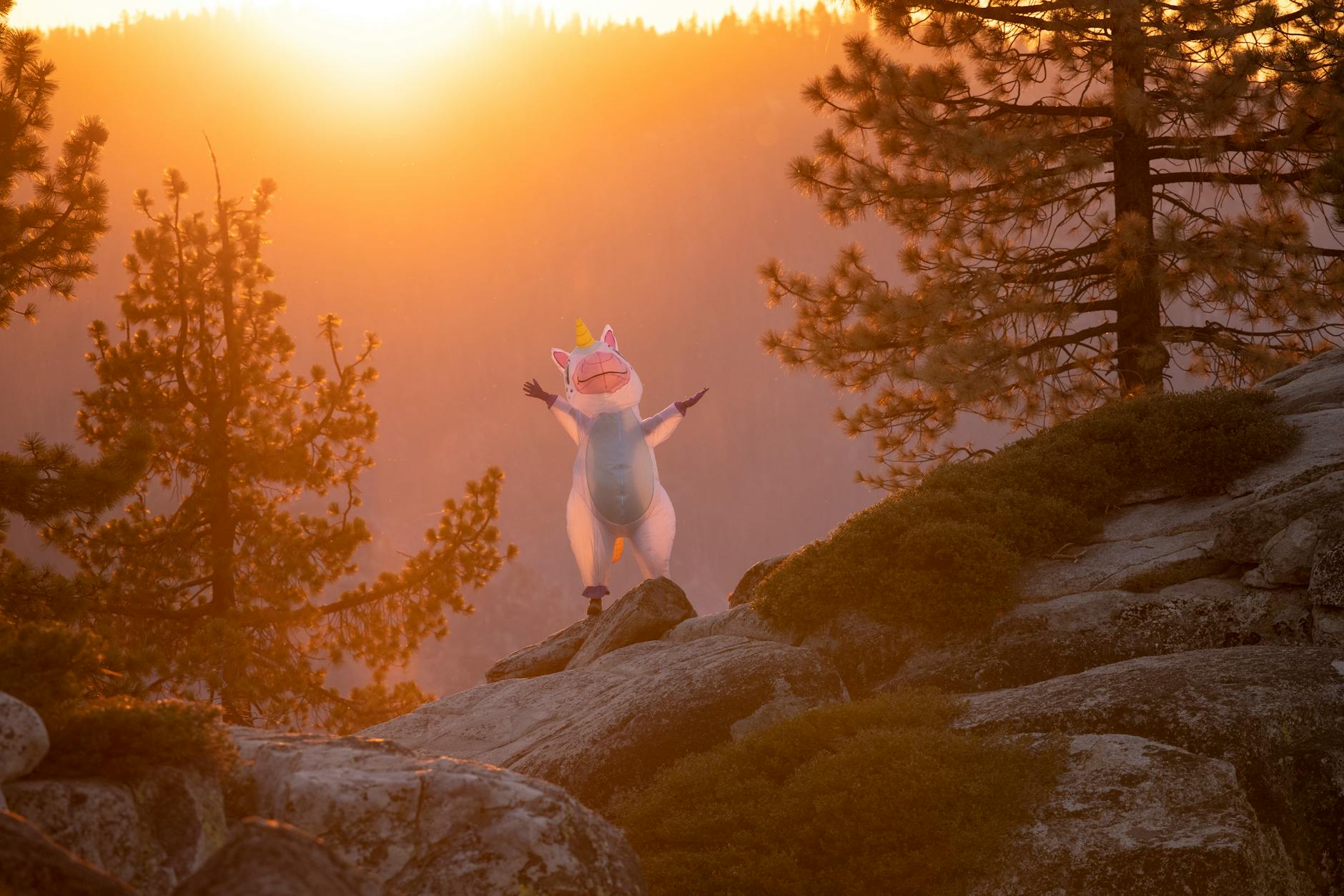 Launching “Unicorn Builders”: Empowering Entrepreneurs in Uncertain Times